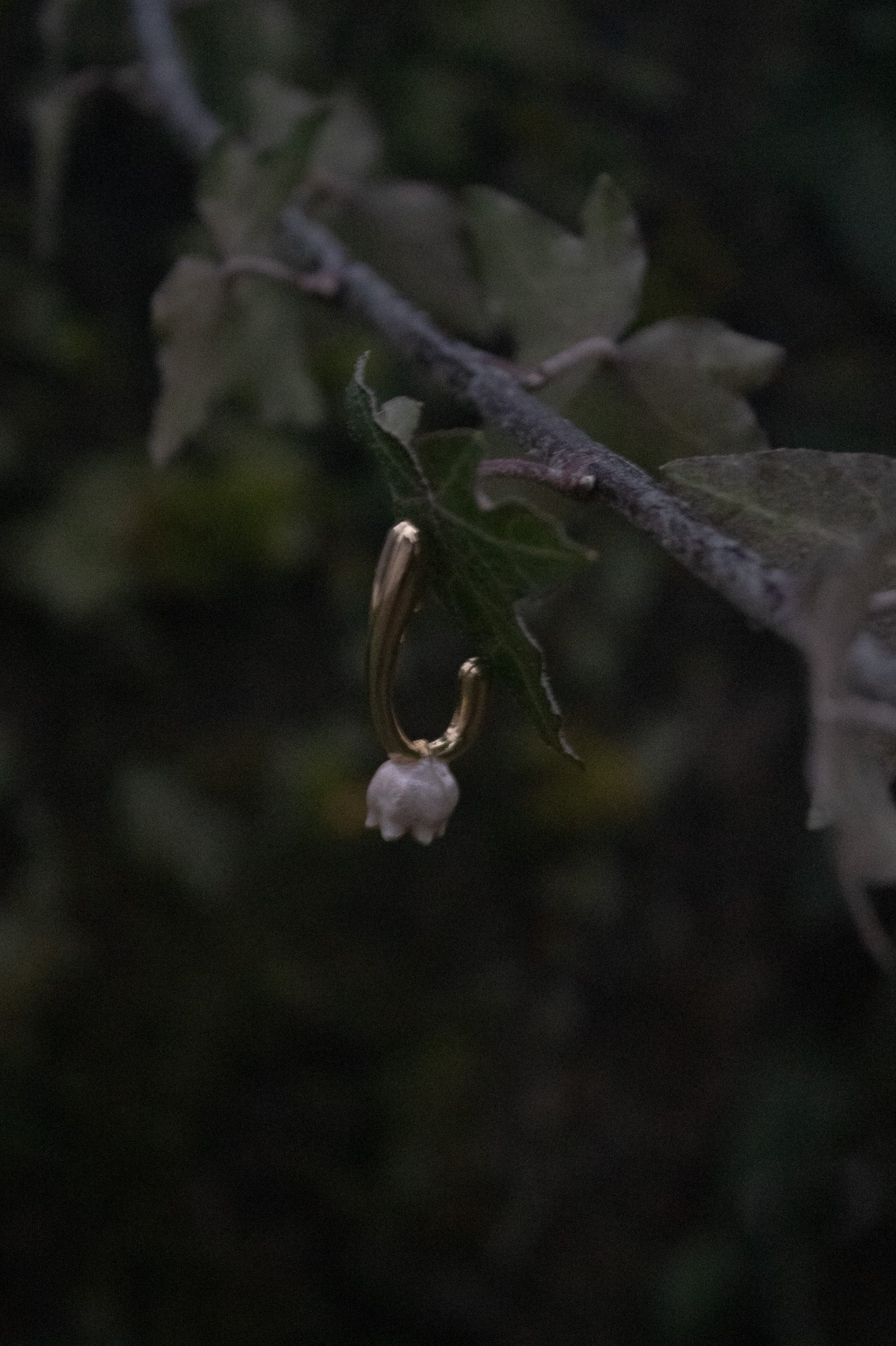 Orecchini Mughetto della Felicità