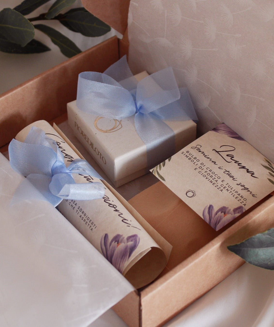 Box Laurea "Semina i tuoi sogni" - Gioielli Alloro