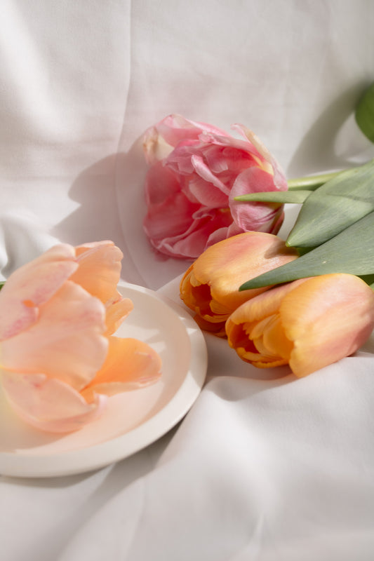 Regalo di Loto - Gift card da 30€