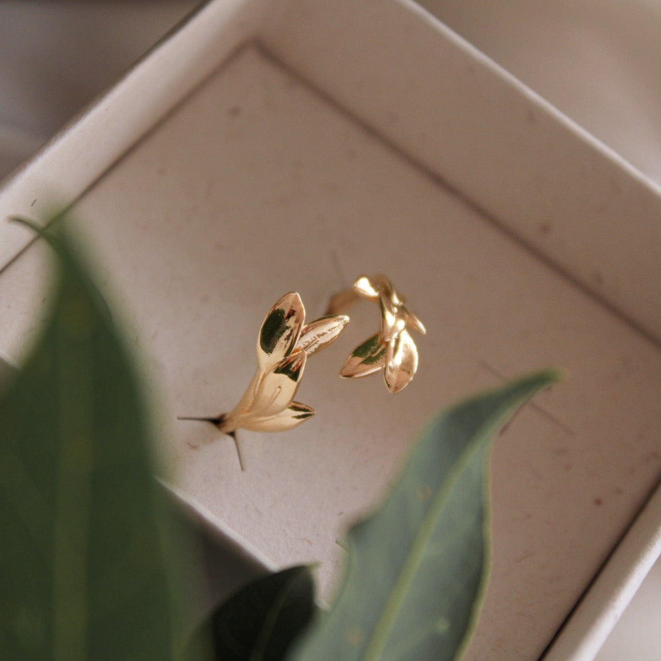 anello per laurea con foglie di alloro
