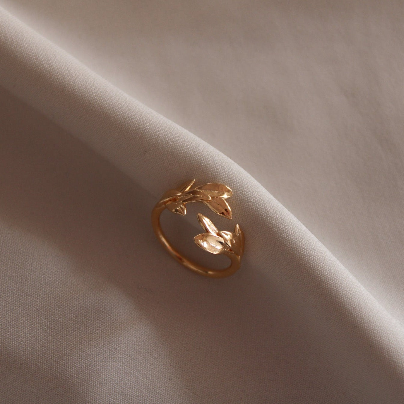 anello laurea alloro