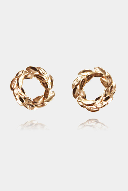 orecchini laurea con foglie di alloro per aspera ad astra 