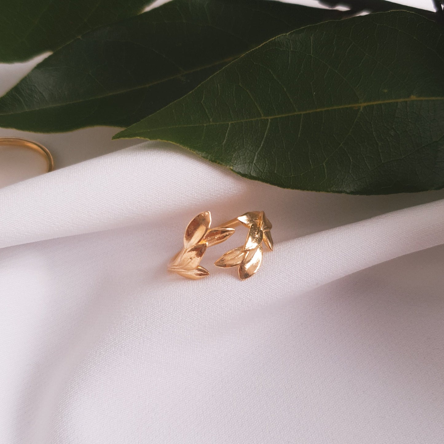 anello con alloro per laurea