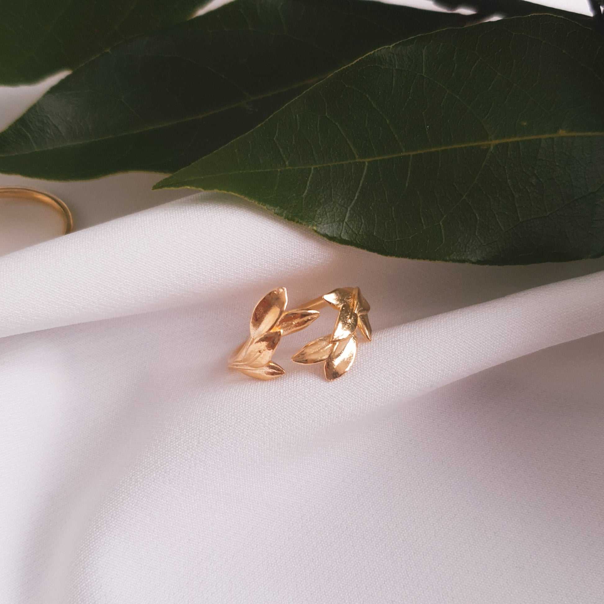 anello con alloro per laurea