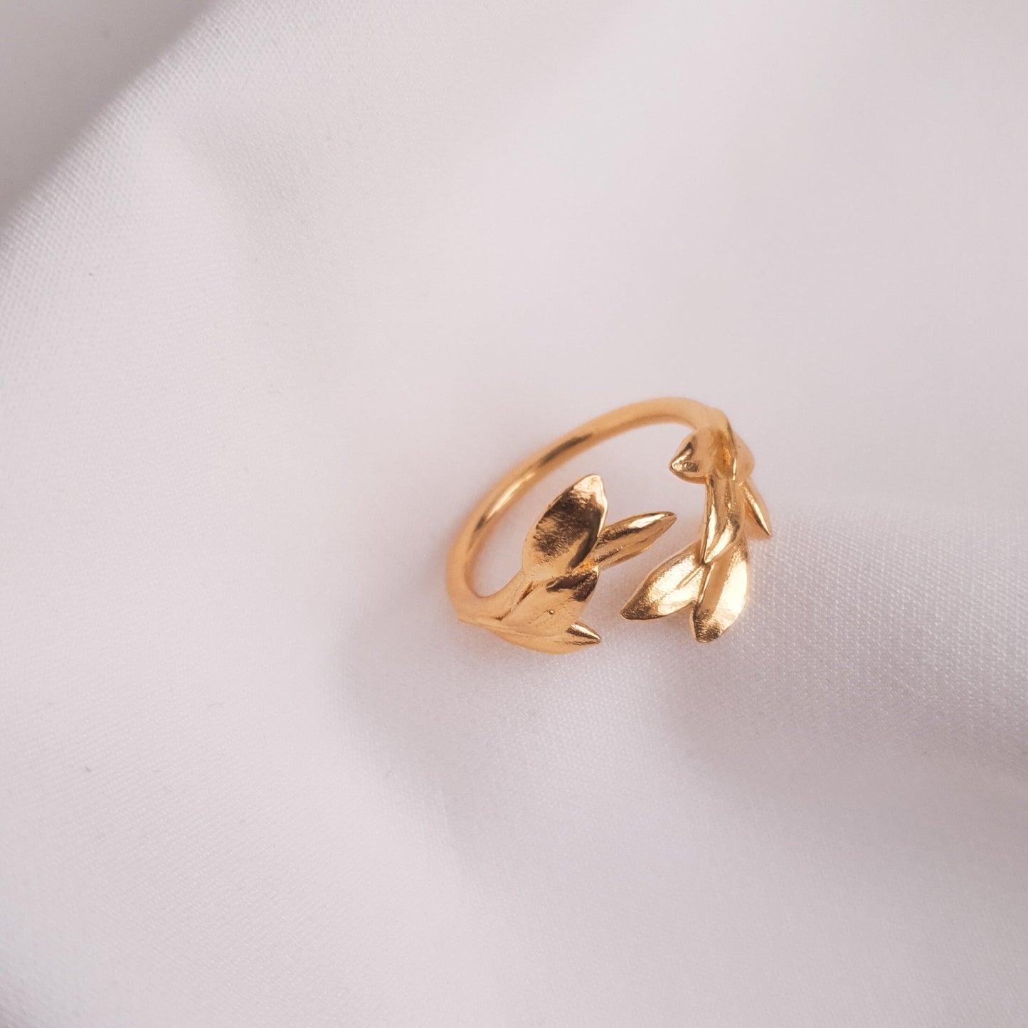 anello alloro per laurea con foglie di alloro 